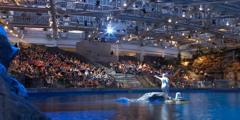 The Shedd Aquarium