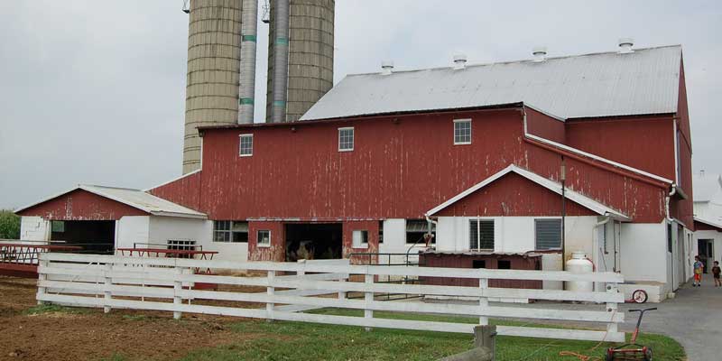 Amish Farm Tour